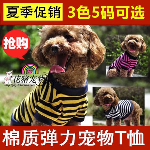 Pet estiramento algodão verão camiseta roupas para cães roupas de verão fino Teddy roupas para cães roupas de verão Corg