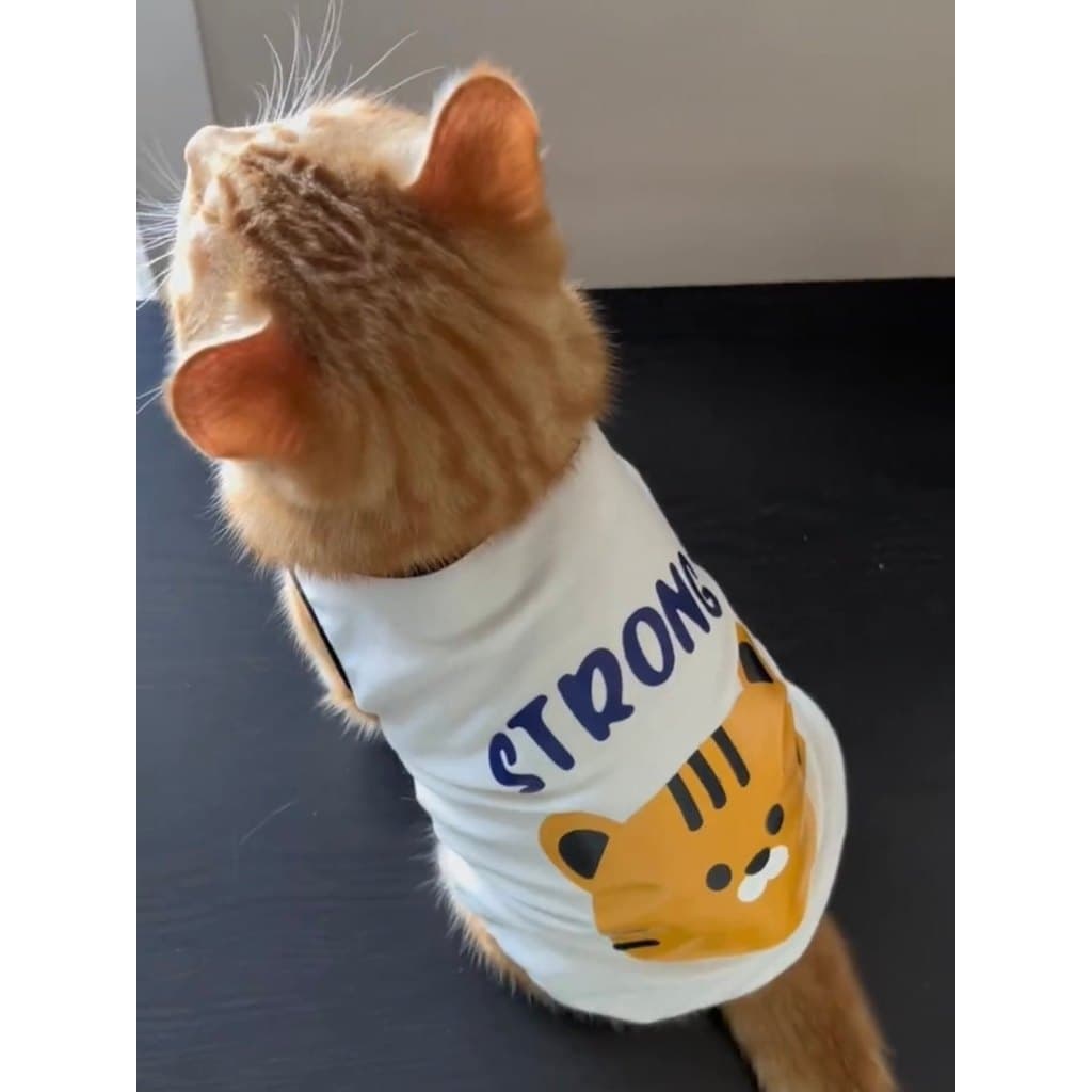 Gato Anti-fiapos roupas de verão respirável britânico curto Muppets gato prata gradiente azul gato animal de estimação v