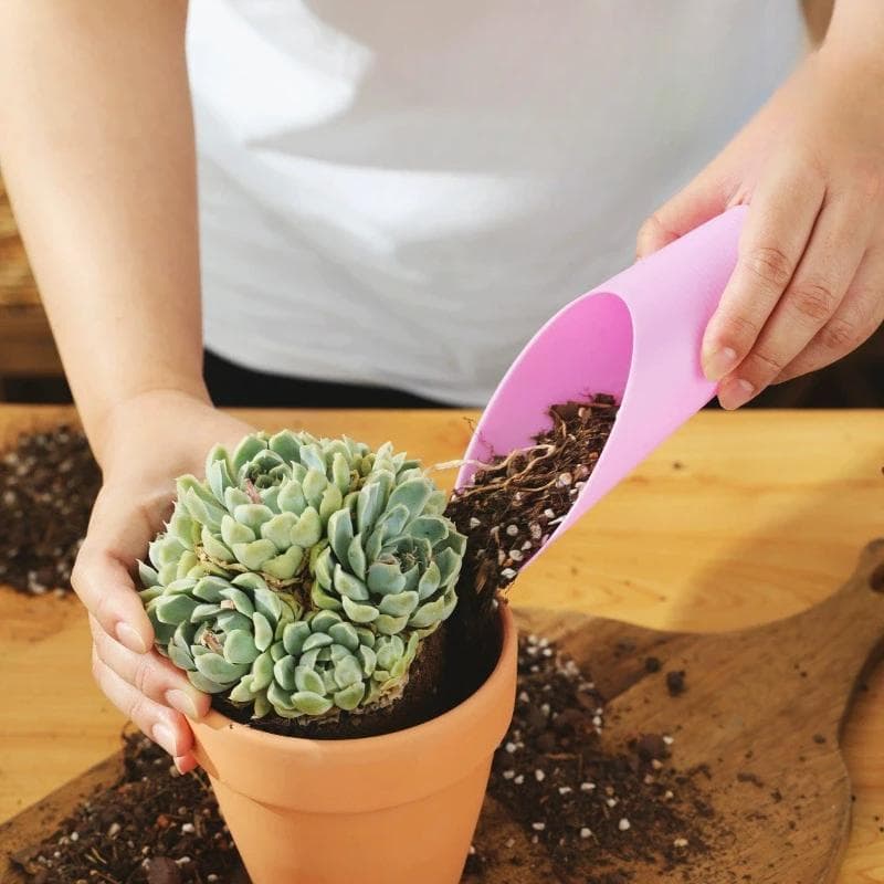 Pá De Plástico Balde Mudas Suculentas DIY Bonsai Planta Ferramenta Jardim Vasos Plantas Tanque Mini Ferramentas