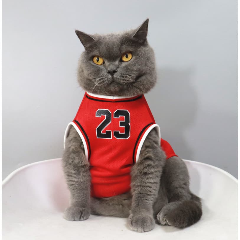 Gato de estimação Bichon Schnauzer Teddy filhote de cachorro roupas de gato verão estilo fino Anti-fiapos basquete sem m