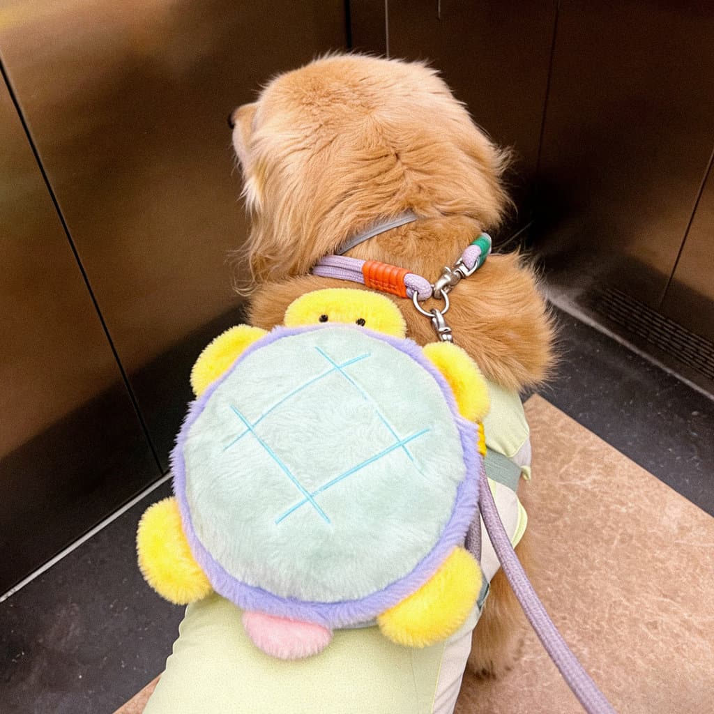 Pequena tartaruga cão de estimação auto-mochila grande escala cão Golden Retriever Samoyed pet bonito acessórios foto ti