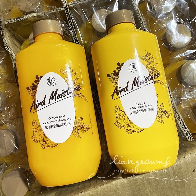 Shampoo de controle de óleo de raiz de gengibre 400ml Shampoo refrescante de limpeza profunda Gengibre Condicionador sed