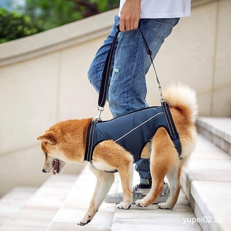 Primeiro , Veja O Gráfico De Tamanhos Para Suporte Ajustável De Cães , Suprimentos De Reabilitação De Pernas Animais De