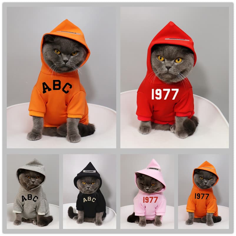 Street Wear Pet cão Schnauzer roupas com capuz respirável puro algodão outono inverno moletom gatinho gato azul gato ale