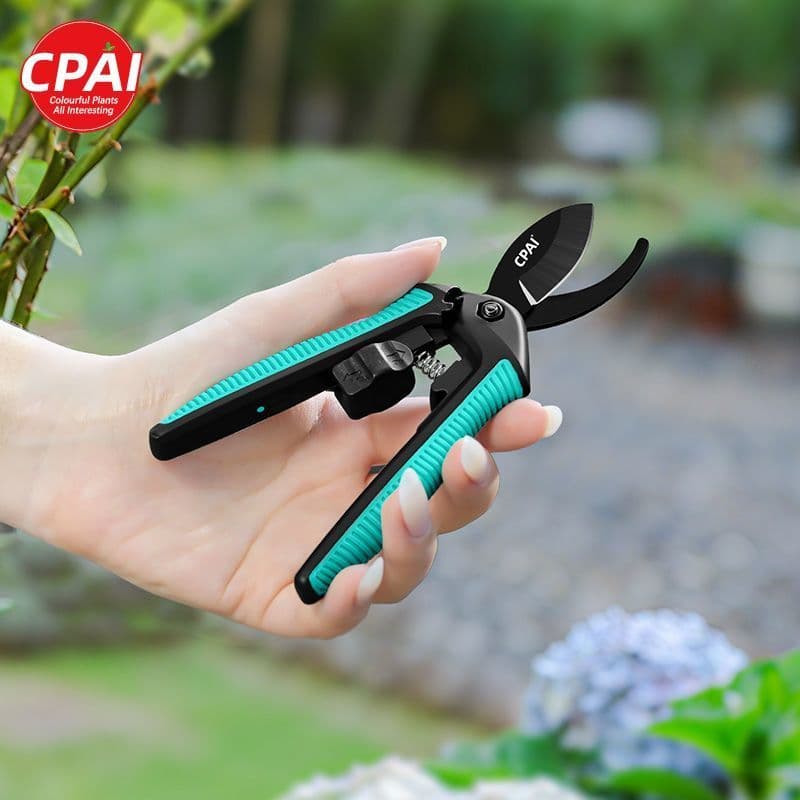 CPAI tesoura de poda ramo tesoura de flores jardinagem tesouras especiais aparar flores do jardim ferramentas especiais