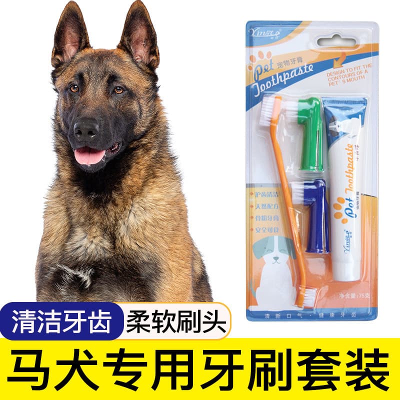 Escova de dentes dedicada para cães e cavalos, conjunto de pasta de dente para animais de estimação, utensílios de limpe