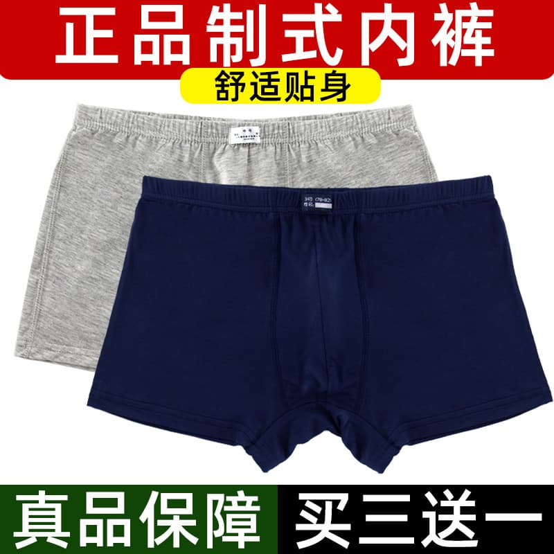Calças padrão genuínas Modal quatro estações sem costura cor sólida ventilador militar boxer briefs respirável roupa int