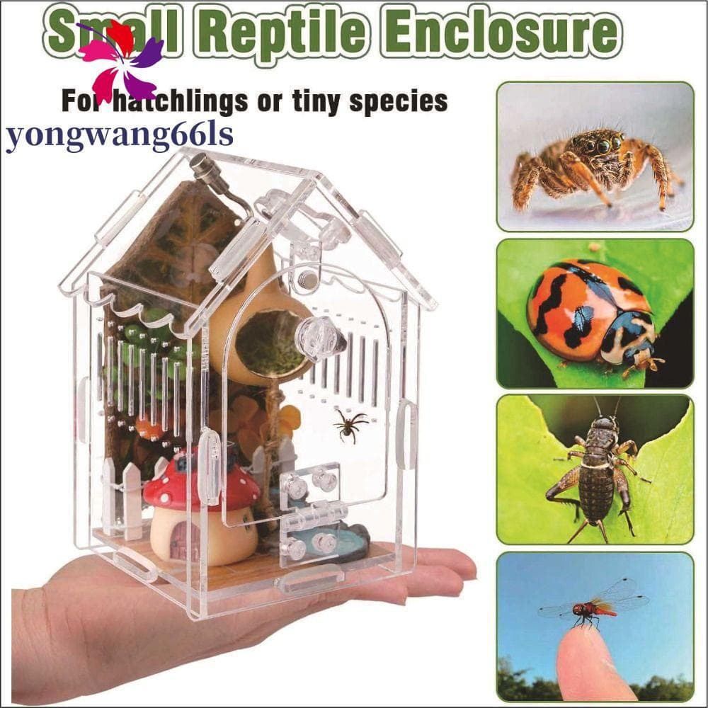 Gabinete De Aranha Saltador YONGWANG , Terrário Portátil De Tarântula Com Furos De Ventilação , Porta De Alimentação