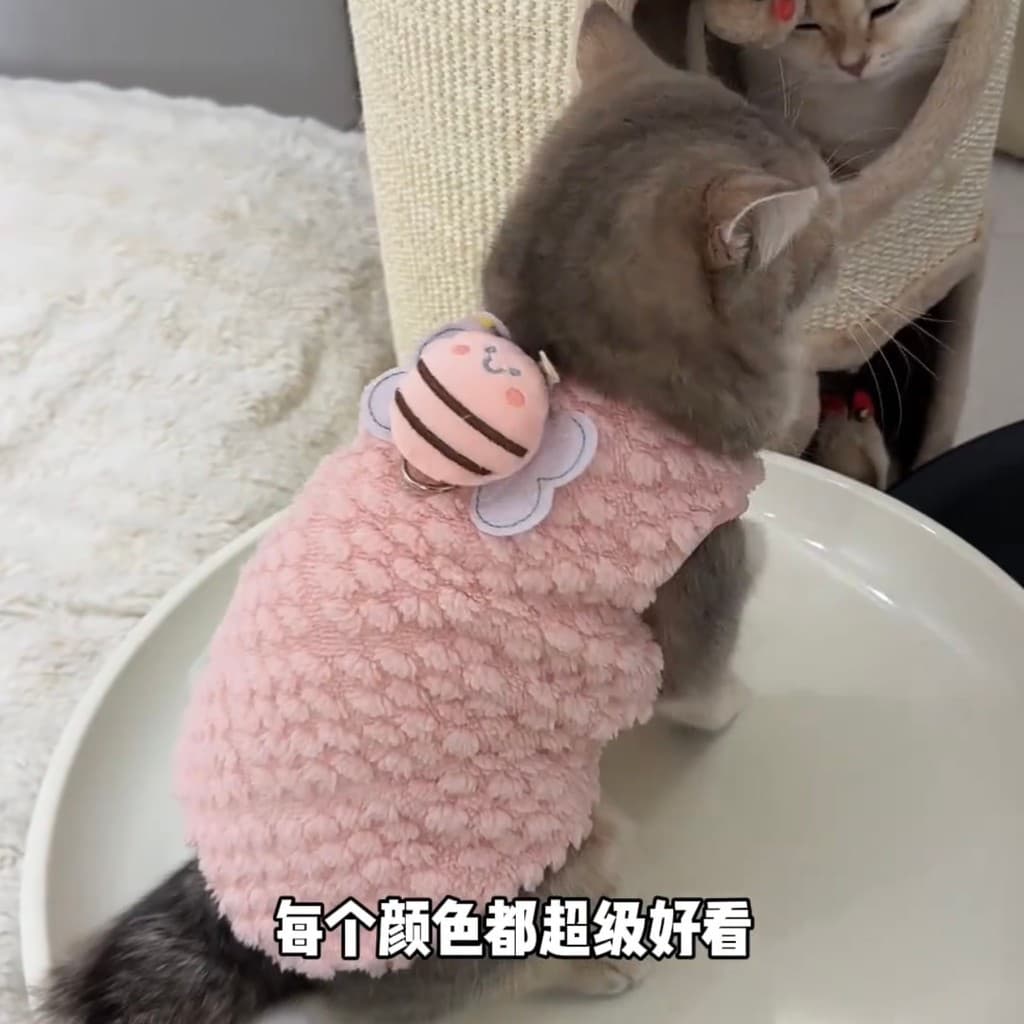 Gato de estimação Anti-fiapos roupas outono inverno bonito velo quente roupas de inverno cão prata gradiente Muppet gato