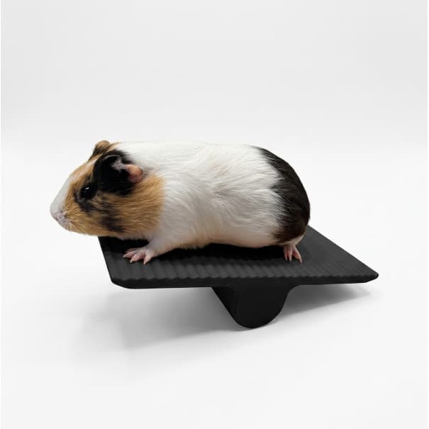 Gangorra Brinquedo Para Porquinho da Índia e Hamster Pet