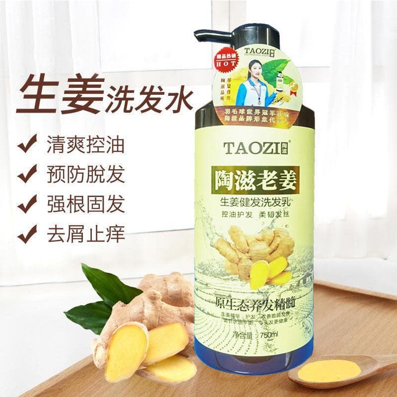 Cerâmica nutritiva shampoo de cabelo gengibre shampoo de cabelo loção de água Taiwan extrato de gengibre essência contro