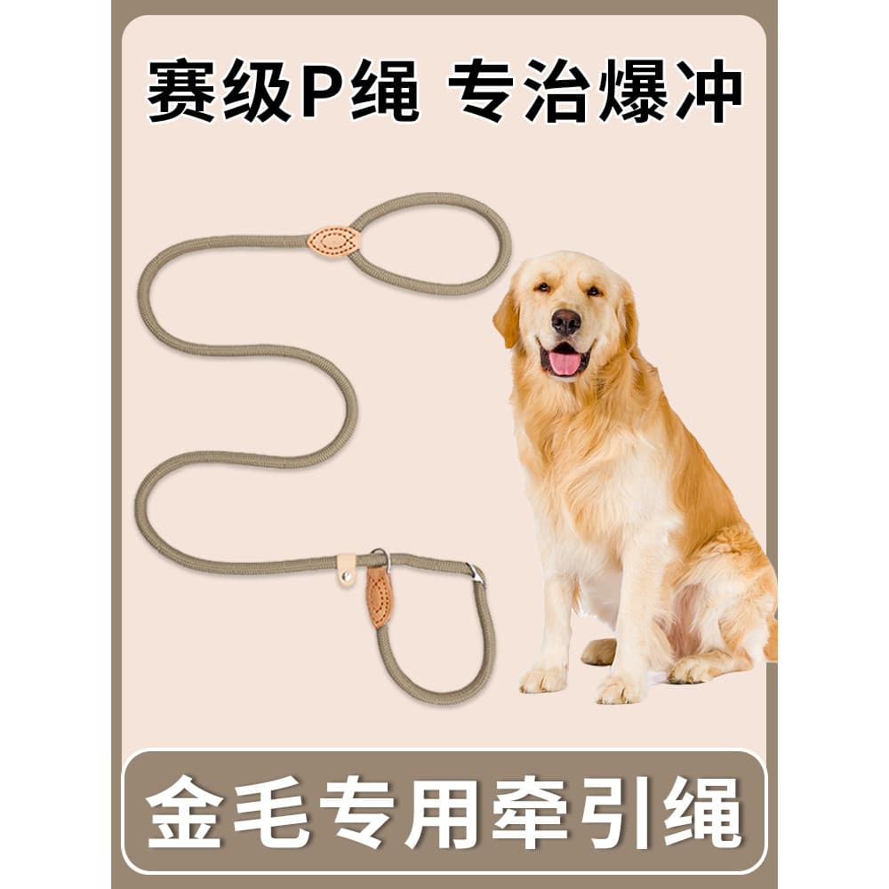 Golden Retriever dedicado cão corda à prova de explosão perfurador P corrente cão andando trela à prova de quebra corren
