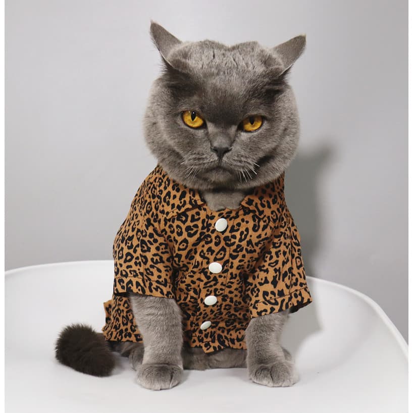 Na moda!Gato de estimação Bichon pequeno filhote de cachorro roupas de gato verão estilo fino Anti-fiapos leopardo impre