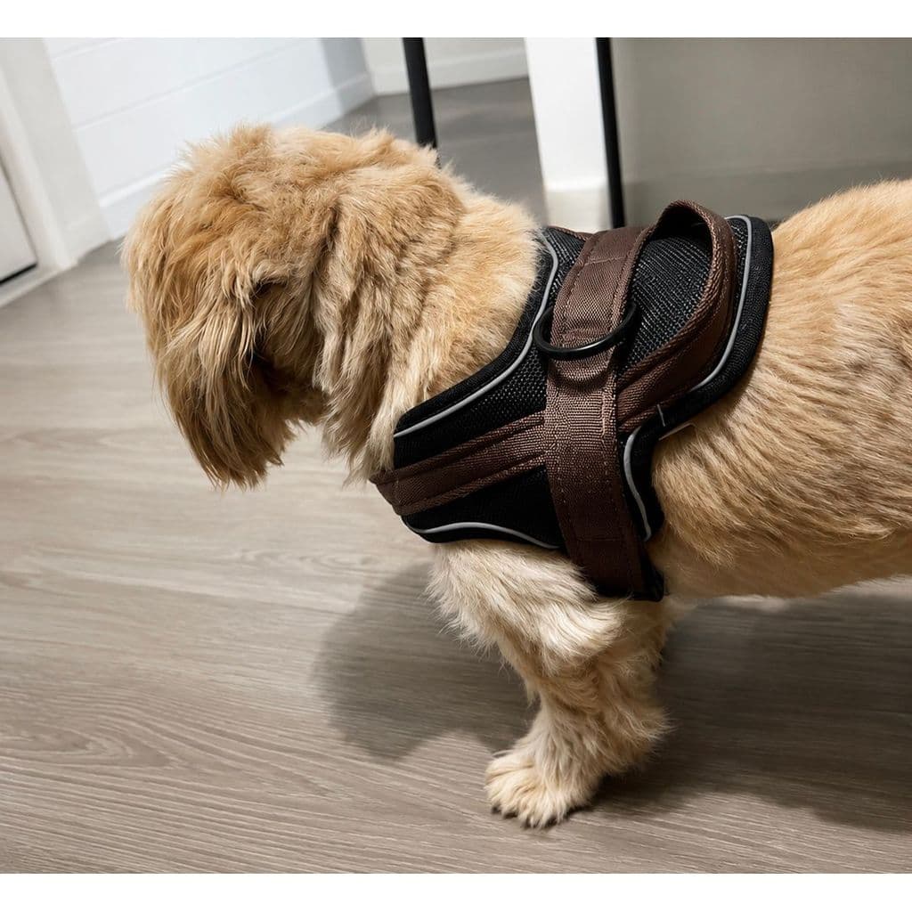 Peitoral Colete para Cachorro PP Ajustável | Confortável, Resistente e Seguro