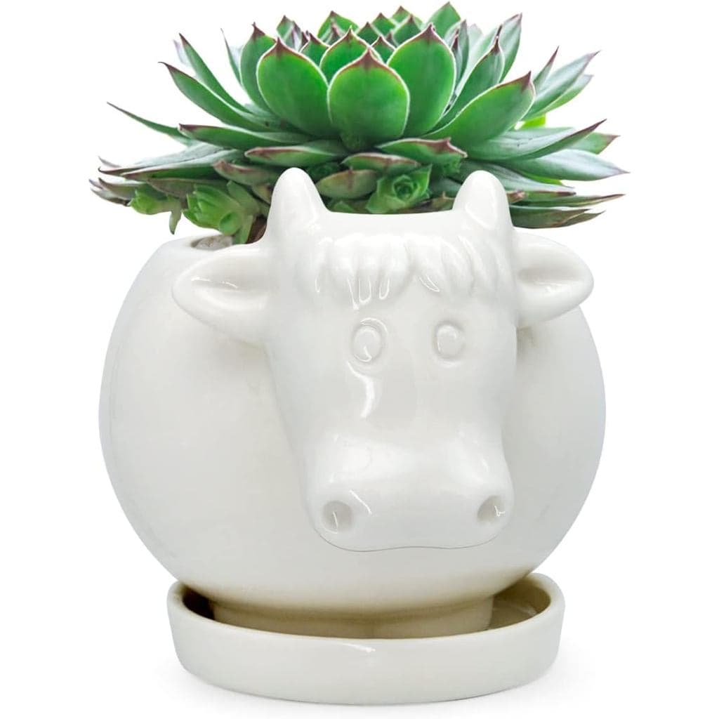 GeLive Vaso de Planta em Forma de Vaca Branca, Vaso de Planta de Desenho Animado Fofo, Pequeno Vaso de Cerâmica para Suc