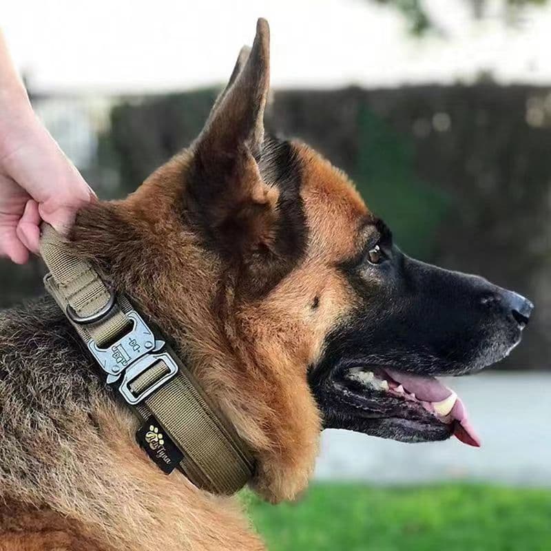 Coleira tática para cães, coleira de tração de Nylon para animais de estimação, coleira militar para cães médios e grand