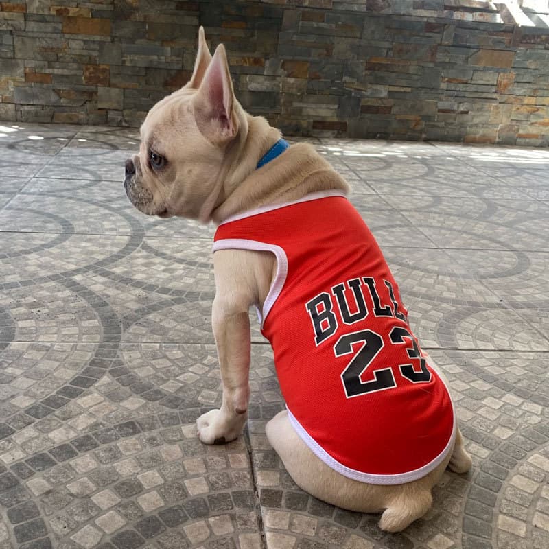 Novo estilo Pet coelho gato filhote de cachorro roupas colete estilo fino Anti-fiapos uniforme de basquete confortável r