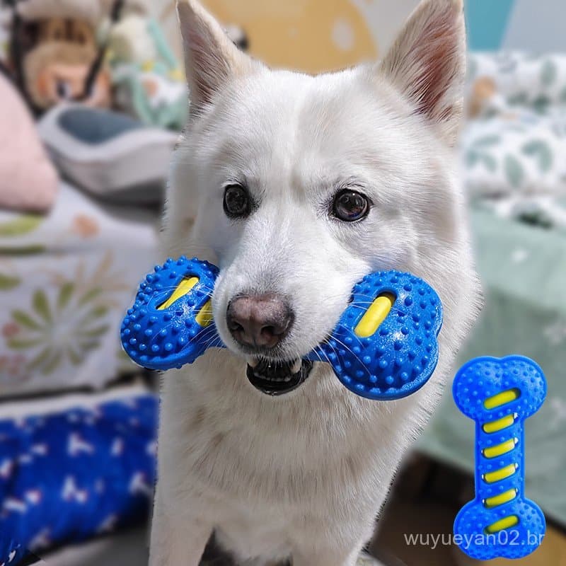 Brinquedo para cachorro, osso de borracha de voz, camada dupla, resistente à mordida, dentes limpos, Golden Retriever, a