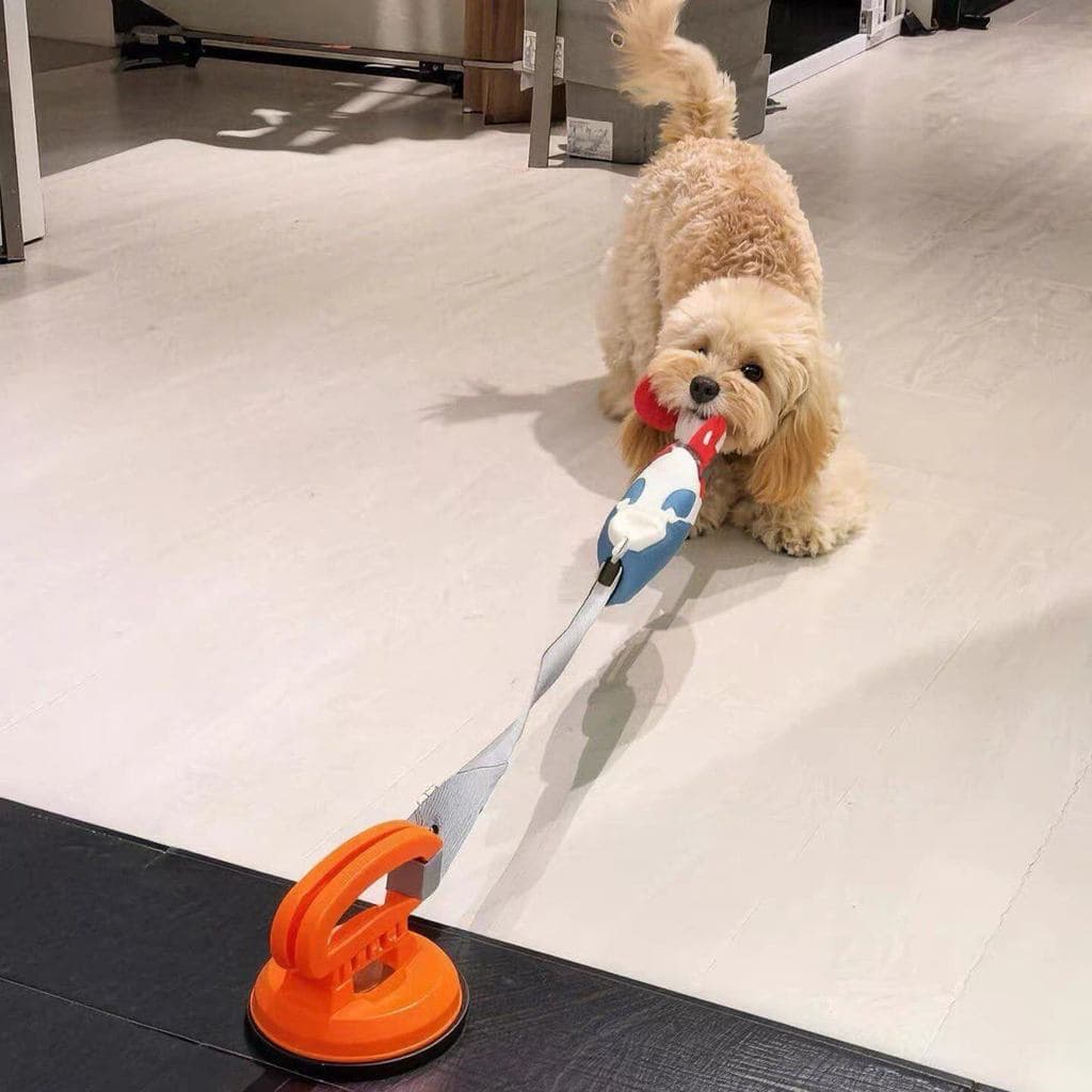 Brinquedo para cachorro, resistente à mordida, limpeza de dentes molares, aliviar o tédio, ferramenta útil, ventosa de c