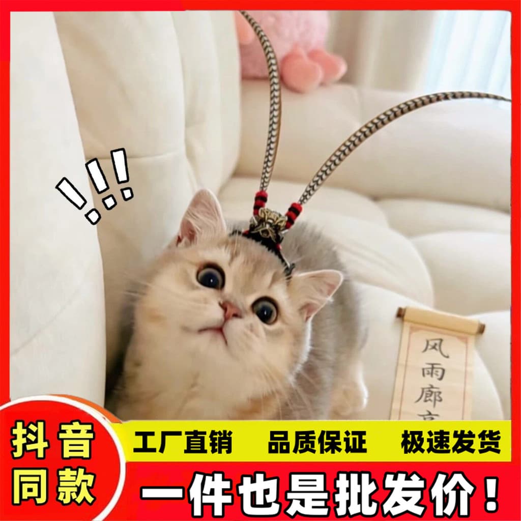 Wu Anhou mesmo estilo cocar gato de estimação Cross-Dressing mostrar cão foto adereços capacete cabeça criativa coroa Ja