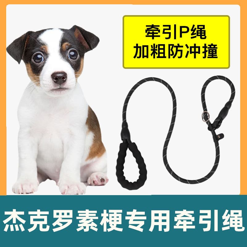 Jack Russell Terrier corda de tração dedicada corda de cão à prova de explosão perfurador P corrente cão andando Anti-qu