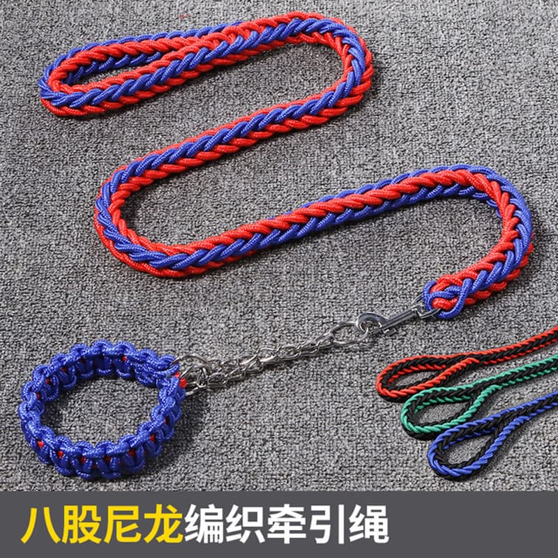 Coleira para cães Labrador Husky Coleira para cães Coleira para cães Alas Plus Size Coleira para cães