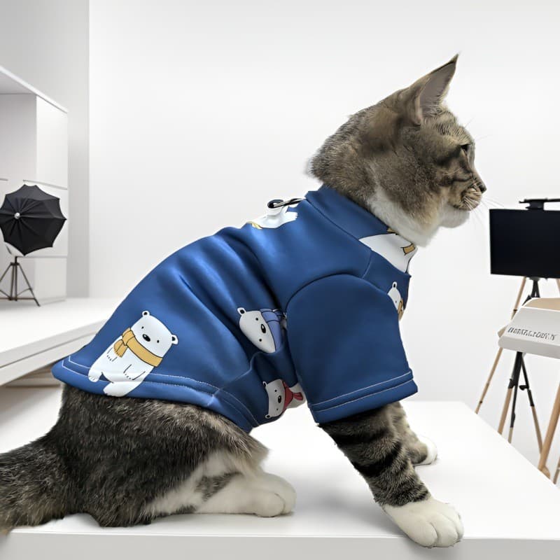 Novo estilo 2024 desenhos animados impressos roupas para animais de estimação moletom de lã primavera outono inverno est