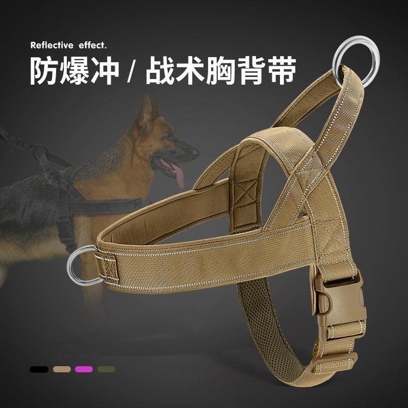 Corda de tração para cachorro, cavalo, dedicada, grande escala, cinta peitoral, estilo, coleira, Golden Retriever, Labra