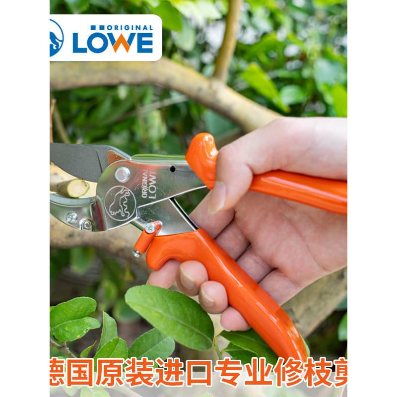 Marca de leão importada alemã LOWE Poda profissional Tesoura de poda de árvores frutíferas Jardinagem Poda Ramos Jardim