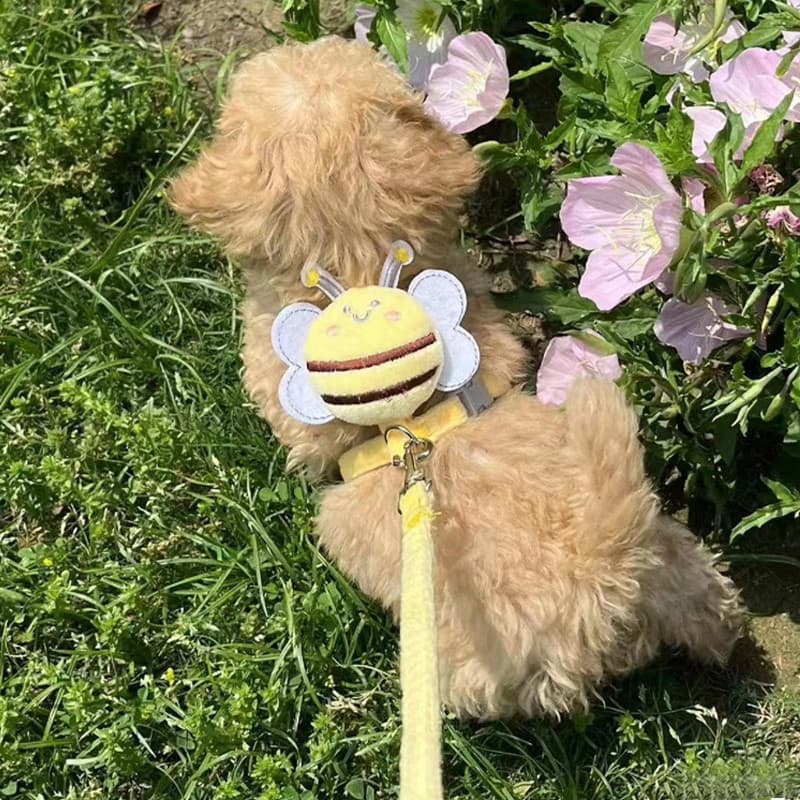 Coleira para cachorro abelha pequeno filhote de cachorro Teddy Bichon Pomeranian Poodle cinta peitoral corrente para cac
