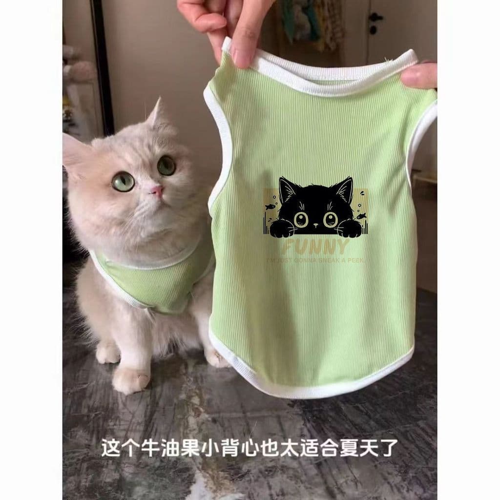 2025 novo estilo roupas de gato verão estilo fino Anti-fiapos respirável legal colete Pet gato dourado gradiente Muppet