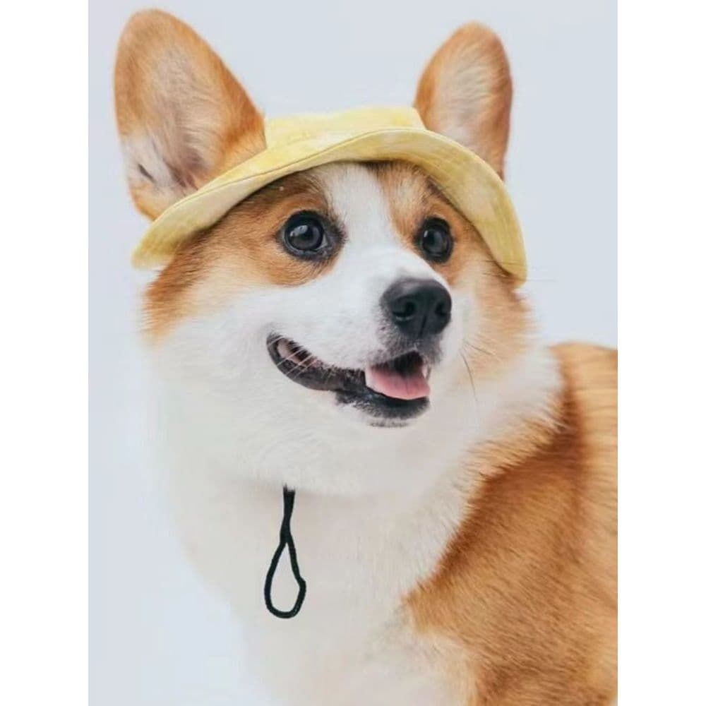 Cão cão chapéu gato verão Outing pára-sol Anti-estrangulamento Pet balde chapéu vazamento de orelha ajustável gato andan