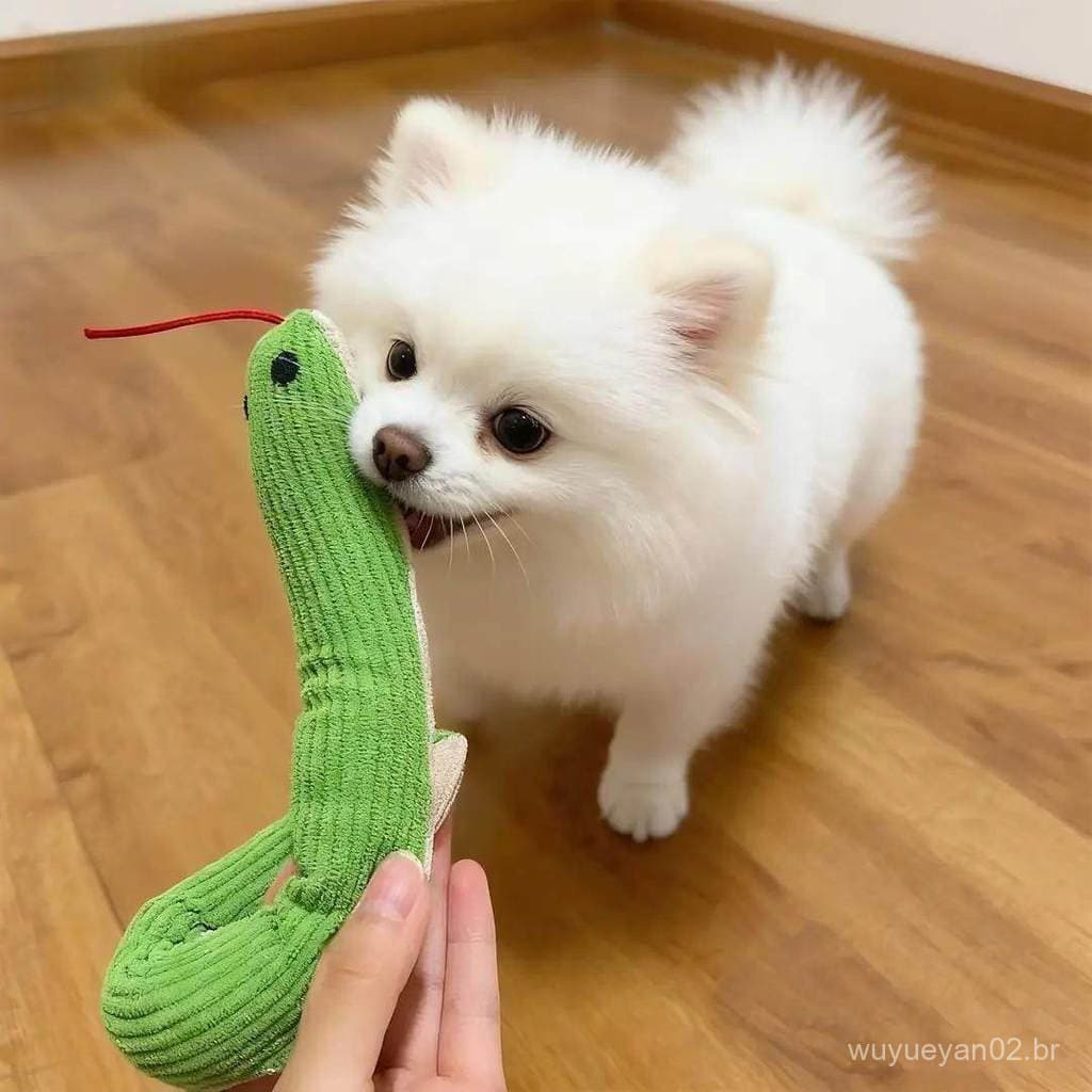 Brinquedo do cão voz agitando cabeça cobra Molar dentes limpeza auto-feliz tédio aliviar ferramenta útil provocando gato