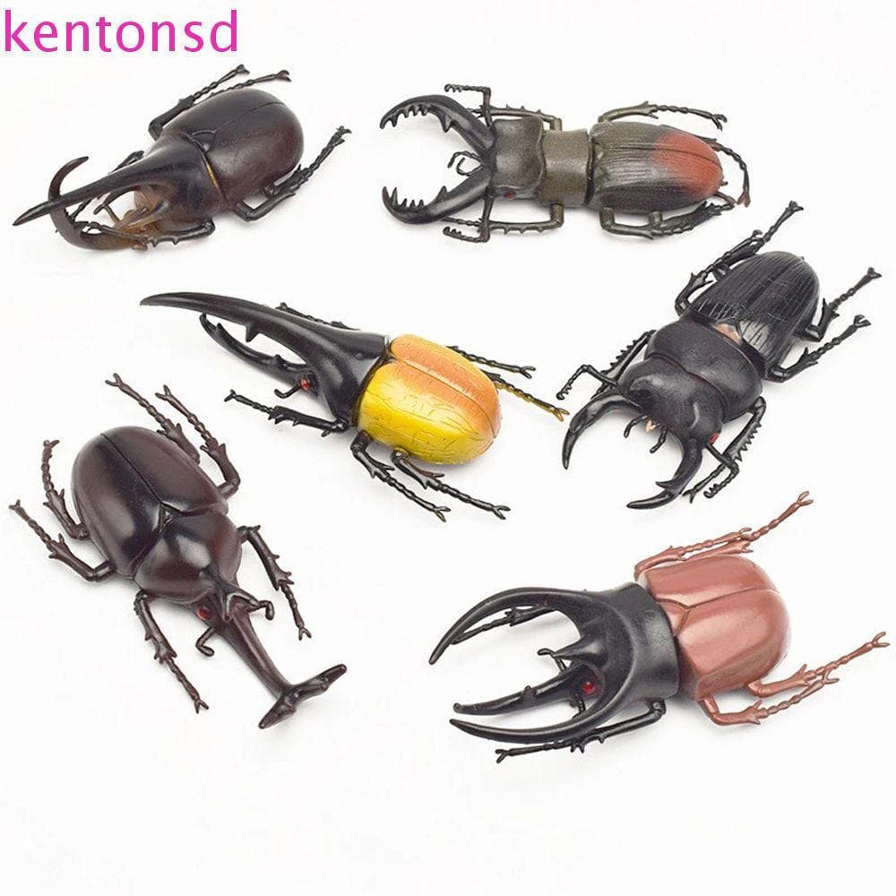 Kington Simulação Não Tóxica Adereços de Pegadinha de Besouro Modelo de Animal Falso Brinquedos de Pegadinha N8KK