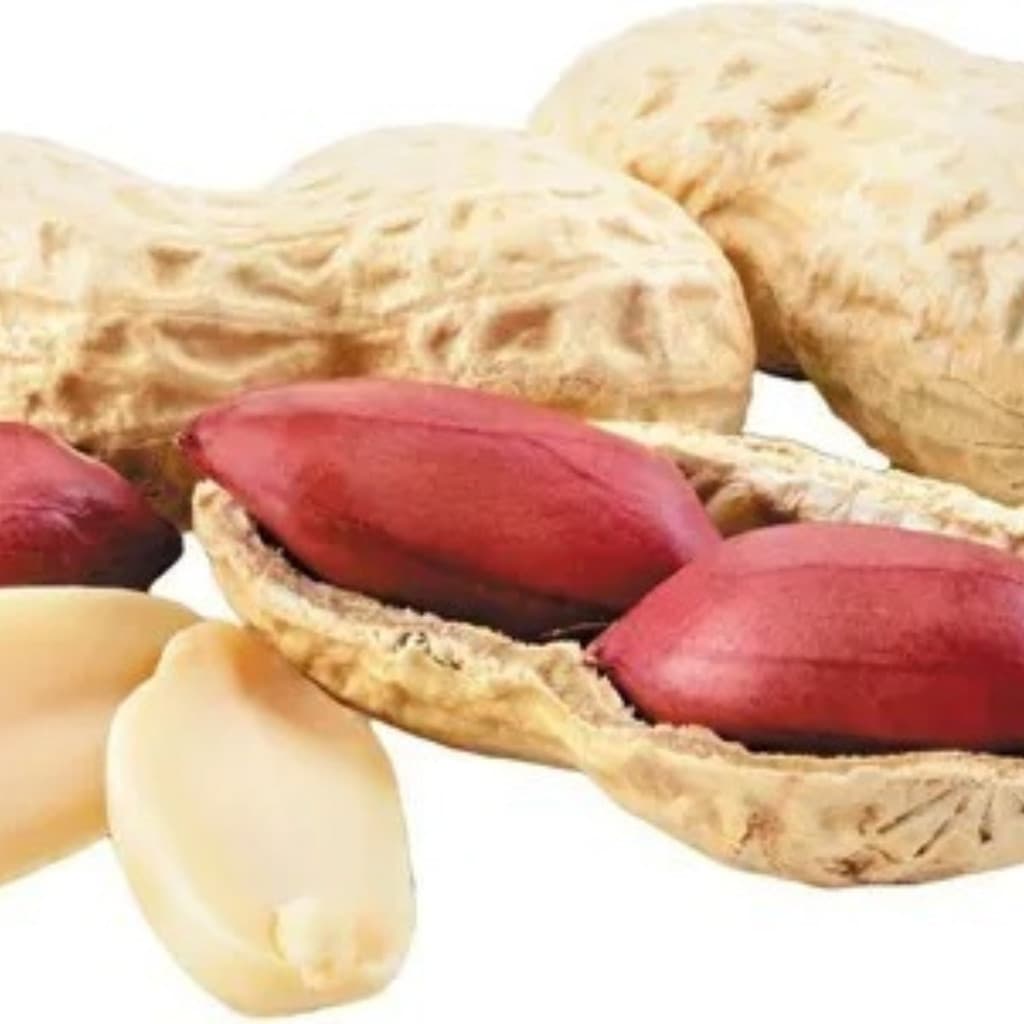 1000 Sementes de Amendoim Vermelho Híbrido para Plantio | Alta Germinação | Ideal para Horta e Roça