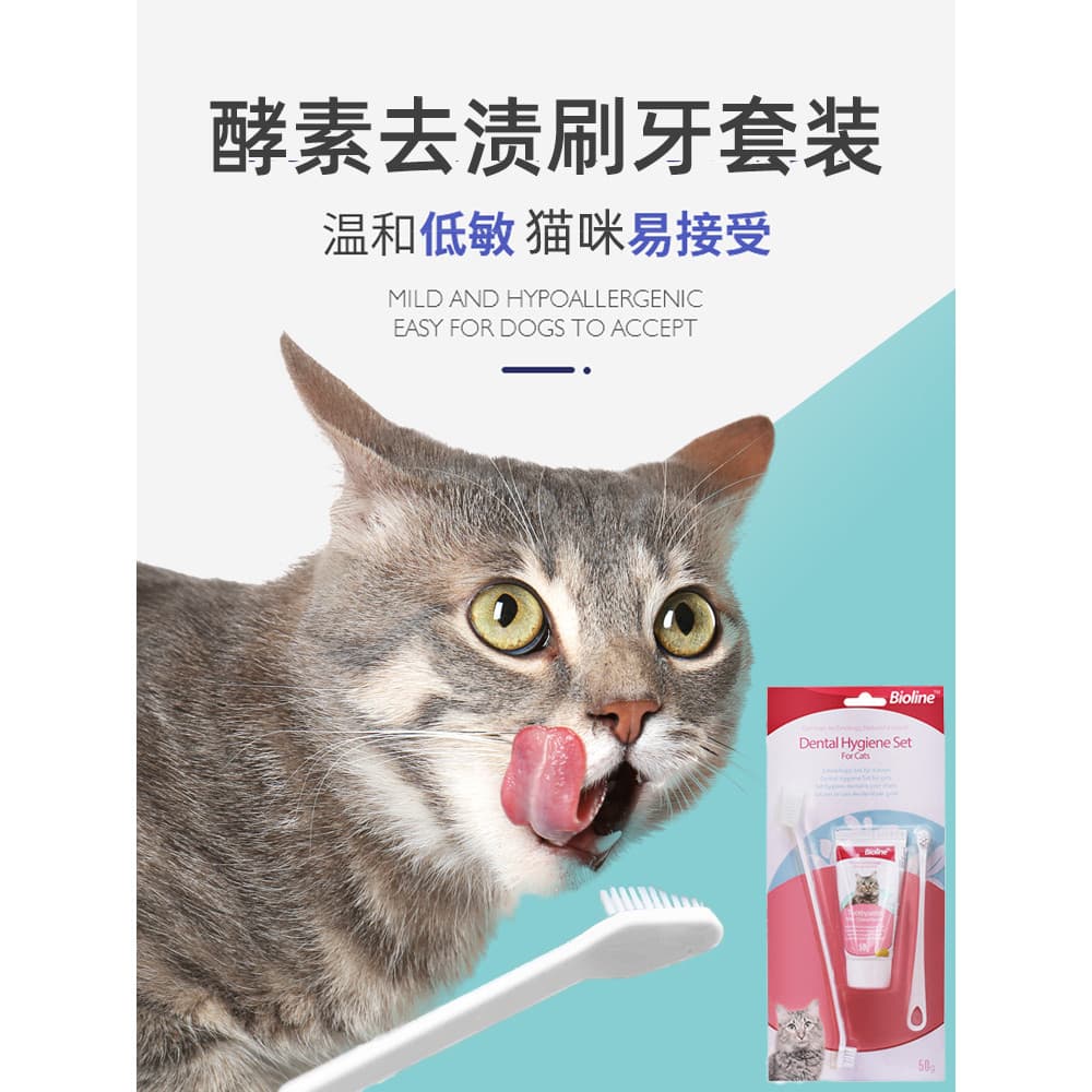 Conjunto de escova de dentes comestível para gatos, suprimentos de limpeza de dentes, remoção de mau hálito, escova espe