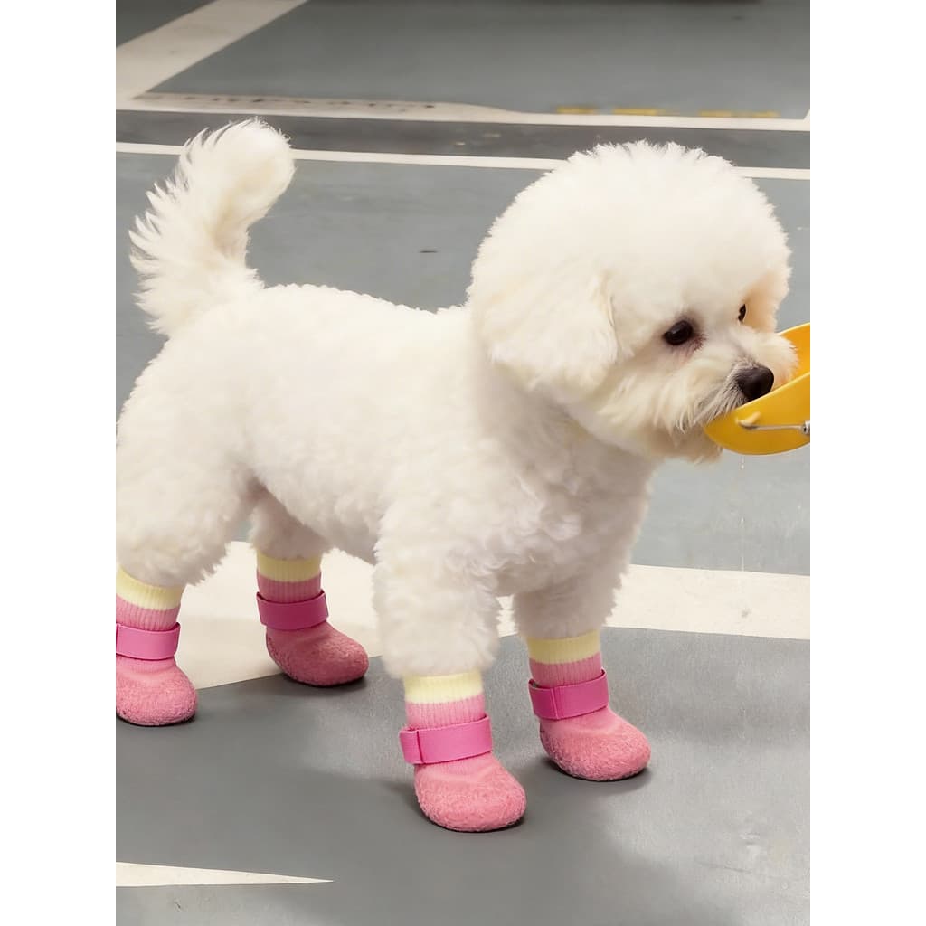 Meias para cães sapatos para cachorros sola macia não pode jogar fora do verão respirável pequeno cão Bichon sapatos par