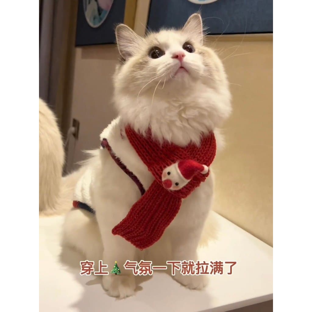 Roupas para gatos de estimação Natal Outono Inverno Roupas acolchoadas de algodão Muppet Cat Inglês Curto Prata Gradient