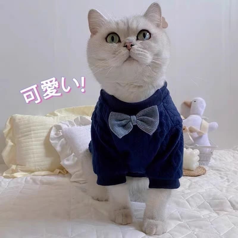 Gato de estimação roupas para cães outono inverno estilo Anti-fiapos inglês curto azul gato Muppets gato prata gradiente