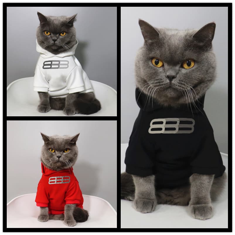 Roupas de gato roupas de gato Muppets gatos animais de estimação gatos outono inverno estilo fino Schnauzer filhote de c