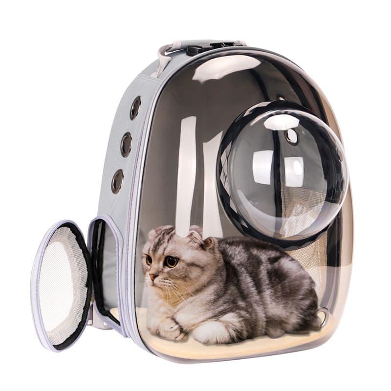 Saco de gato passeio Pet gato mochila espaço saco de pelúcia mochila saco de escola cão portátil gato gaiola suprimentos