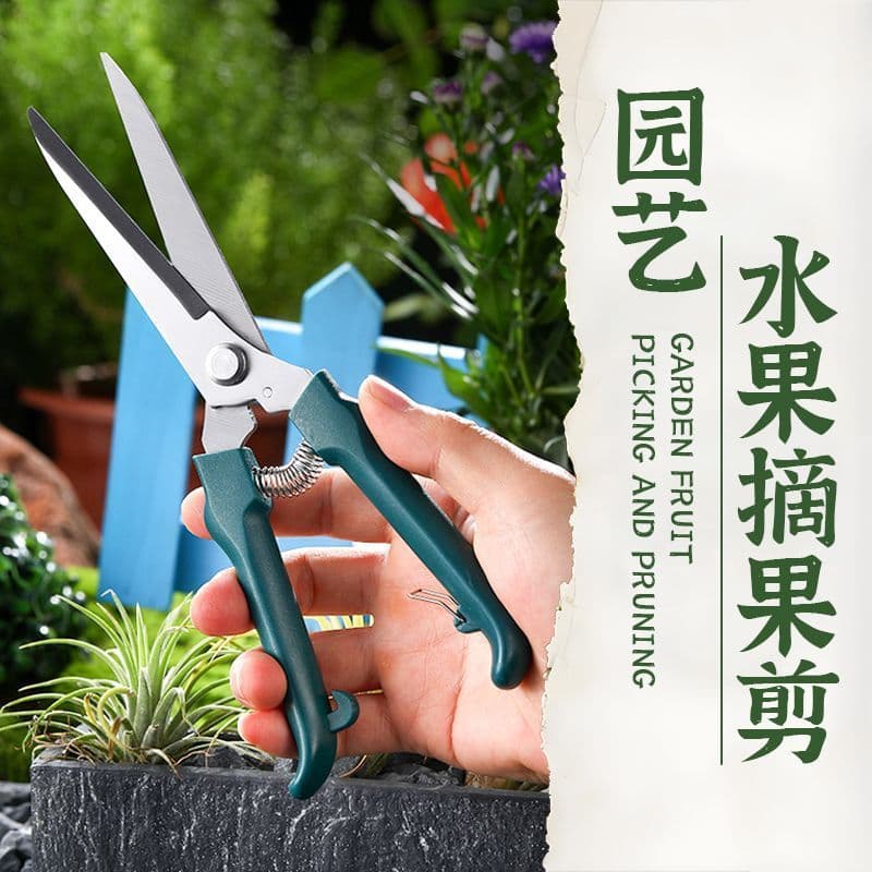 Tesouras de jardinagem de aço inoxidável de alta eficiência Tesouras de frutas Tesouras de flores Tesouras de jardim Tes