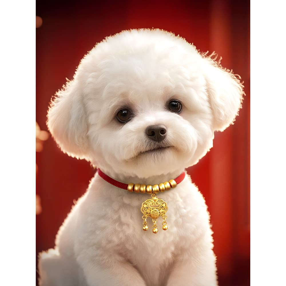 Coleira de cachorro ano novo coleira de cachorro longevidade bloqueio filhote de cachorro colar pequeno médio coleira de