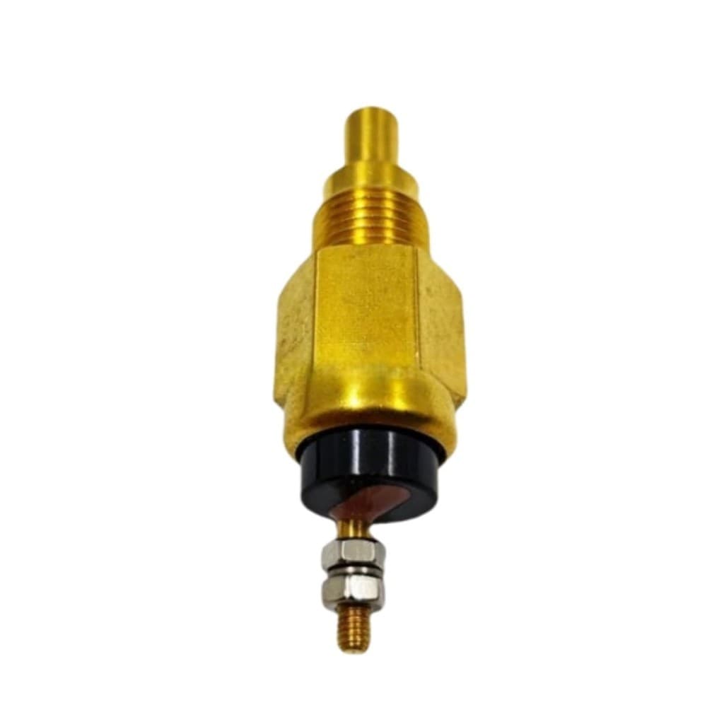 Sensor De Temperatura Da Água 4371318 Para Escavadeira 225CLC 220DW 180 800C 225DLC 450DLC 650DLC 210 850DLC 135C 190GW