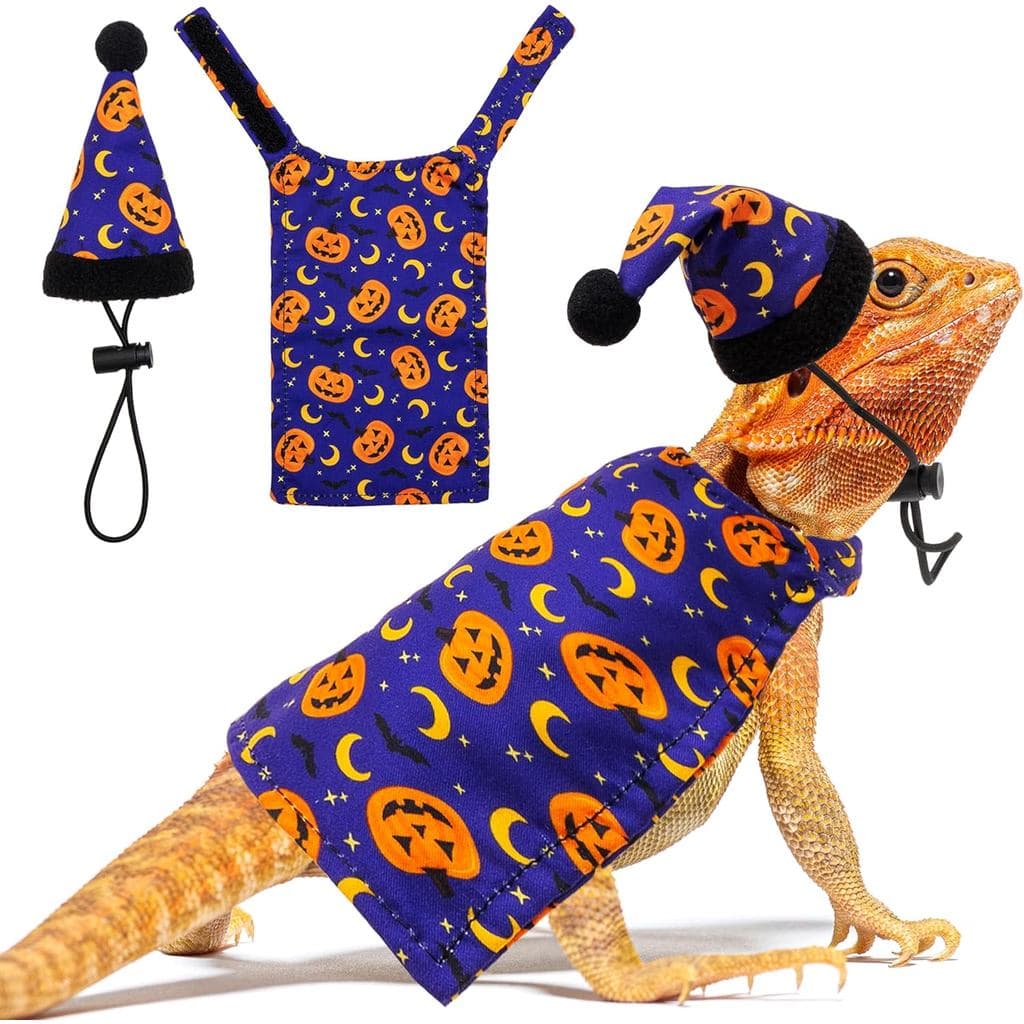 Fantasia de Dragão Barbudo para Halloween, Conjunto de Roupas e Chapéu para Pequenos Animais de Estimação com Padrão de