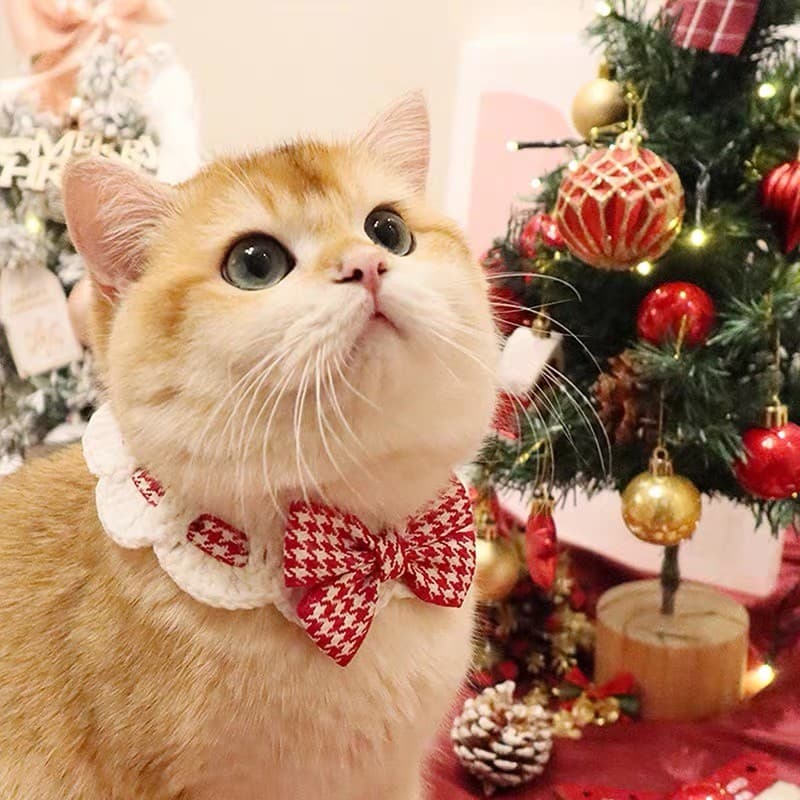 Babador de gato gravata borboleta toalha de Saliva gola de malha coleira para animais de estimação babador decoração bab