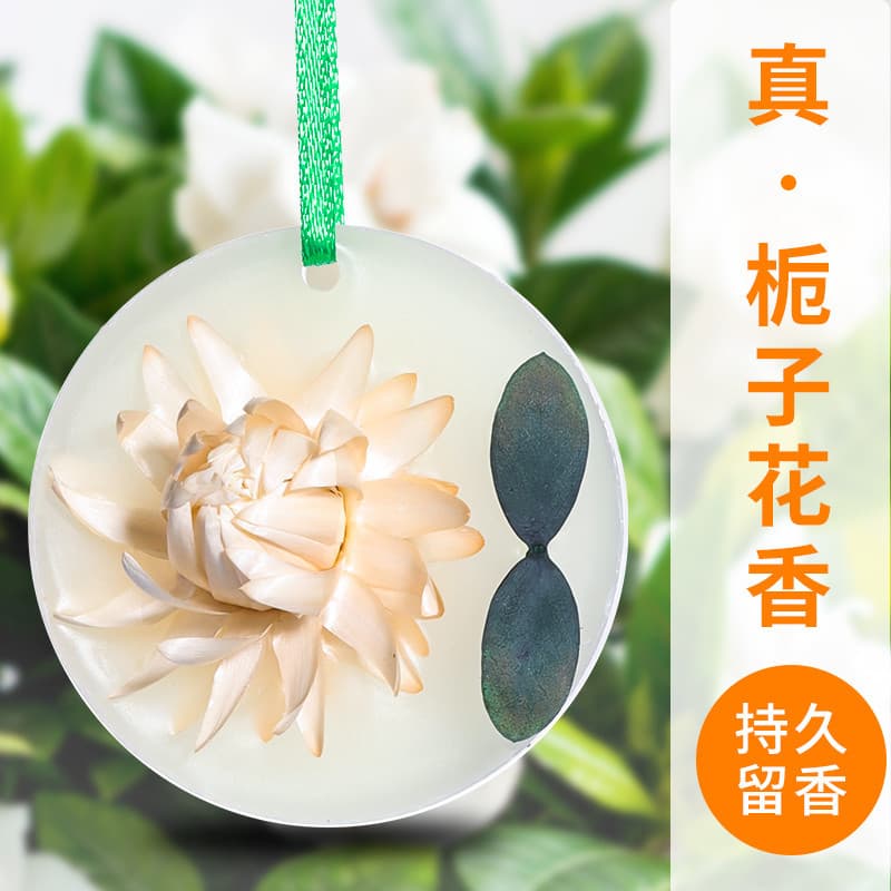 Guarda-roupa pendurado aromaterapia comprimidos de cera quarto doméstico fragrância de longa duração pingente de fragrân