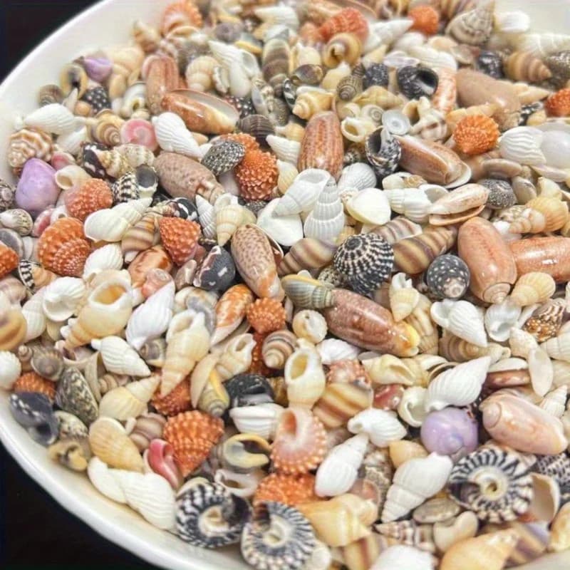Conchas De Mar Misturadas Coloridas Para Arte Em Resina DIY , Decoração De Casa Boêmia Oceano , Artesanato De Praia