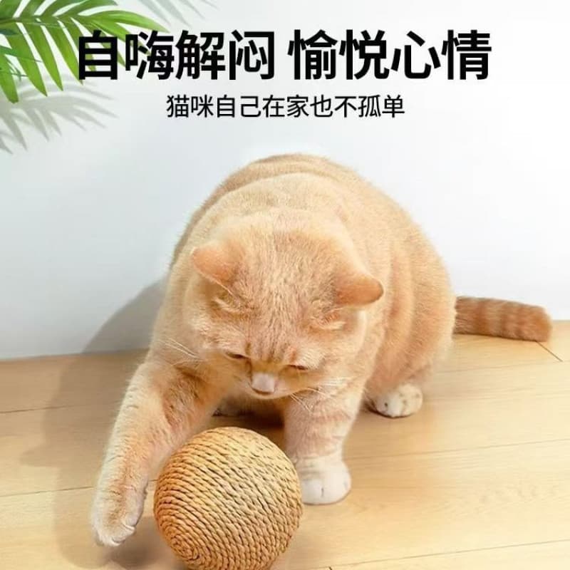 Brinquedo para gato: bola de sisal extra grande, bola de corda de papel, varinha de provocar gatos, brinquedo para anima