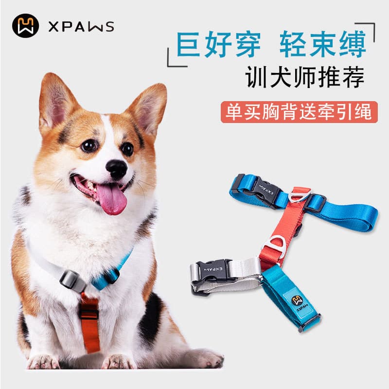 XPAWS coleira para cachorro estilo animal de estimação em forma de I cinta peitoral em forma de h Corgi cão andando cord